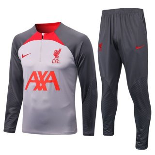 Felpa Liverpool 2022/23 Grigio