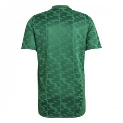 Thailandia Maglia Algeria Away 2020 Verde