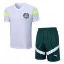 Maglia Formazione Palmeiras Set Completo 2023/24 Bianco