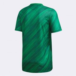 Thailandia Maglia Irlanda Norte Home 2020 Verde