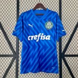 Thailandia Maglia Palmeiras Portiere 2024/25