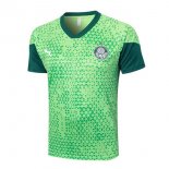 Maglia Formazione Palmeiras 24/25 Verde